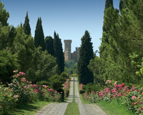 dovesiamo